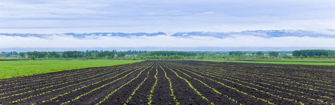 ΢ϵ׺òã@ƪ֪