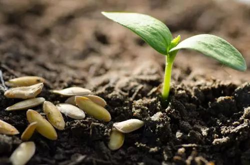 ɴԭVҪûЙC(j)