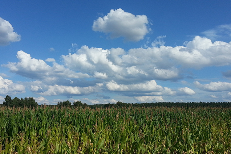 ЙC(j)ʏSa(chn)ƷЙC(j)ʺr(nng)ƼSʵą^(q)e