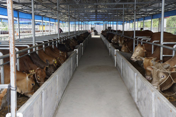 B(yng)ţţS̎ЙC(j)