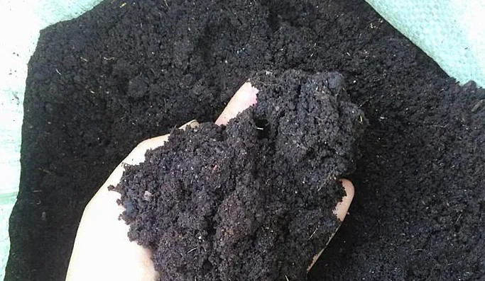 οĳ؅^(q)ǷЙC(j)ϑ(yng)Ј