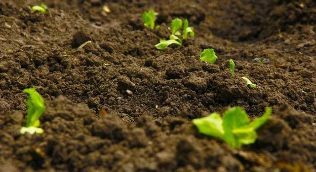 ҇(gu)Ϸ(zh)И(bio)(zhn)ȫ