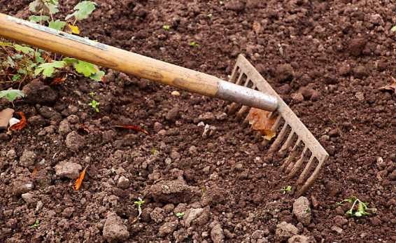 ЙC(j)ʰl(f)ͳҊ(jin)(wn)}